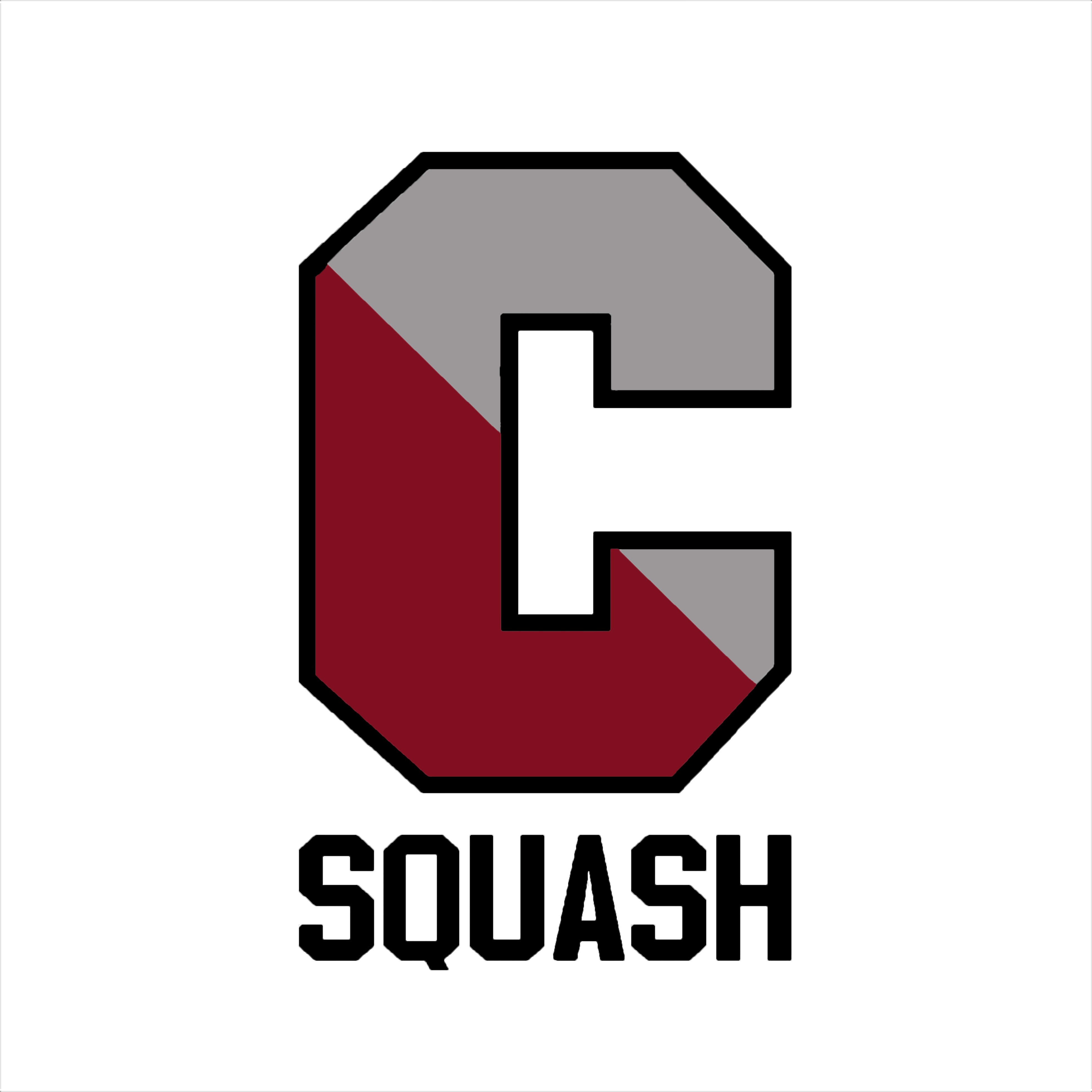 Conestoga Girls Squash